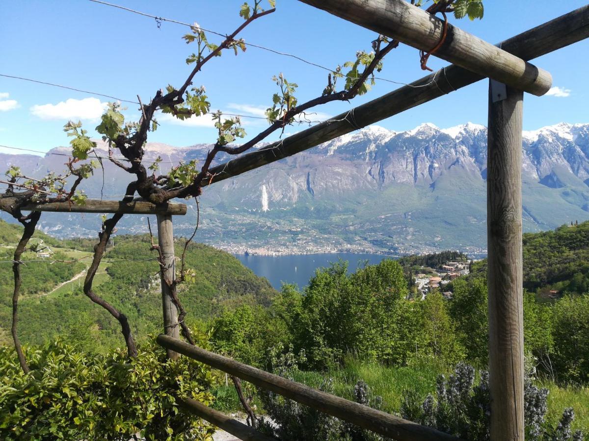 Agriturismo La Zangola Tremosine 外观 照片