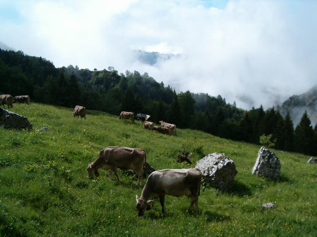 Agriturismo La Zangola Tremosine 外观 照片
